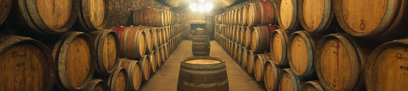 bodegas