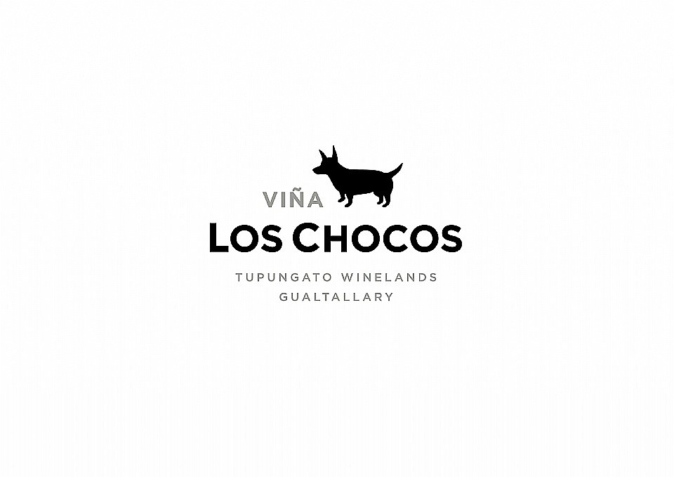 Viña Los Chocos